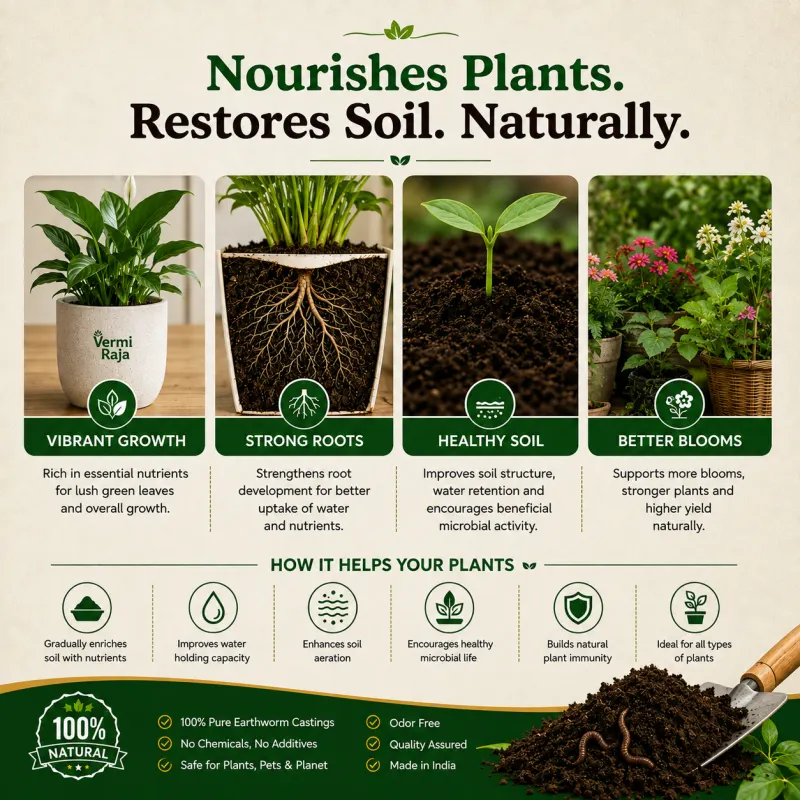 Thumbnail 8 - Organic Soil Health Benefits
